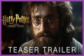 Harry Potter and The Cursed Child: The Sequel