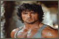 How Tall Is Sylvester Stallone? Uncovering The Truth Behind His Height